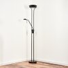 Biot Floor Lamp LED black, 2-light sources