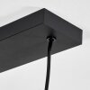 Fessade Pendant Light black, 4-light sources