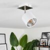 Tibro Ceiling Light matt nickel, white, 1-light source