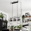 Vevino Pendant Light clear, Smoke-coloured, 3-light sources