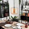 Lauden Pendant Light glass 25cm Amber, 1-light source