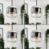 Lauden Pendant Light glass 20cm chrome, clear, Smoke-coloured, 1-light source