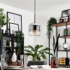 Lauden Pendant Light glass 20cm chrome, clear, Smoke-coloured, 1-light source