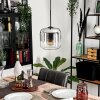 Lauden Pendant Light glass 20cm chrome, clear, Smoke-coloured, 1-light source