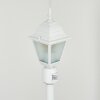 Naofe path light white, 1-light source, Motion sensor