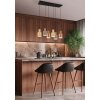 Trio AGUDO Pendant Light black, 6-light sources
