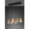 Trio AGUDO Pendant Light black, 6-light sources