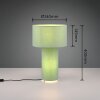 Trio BALE Table lamp green, 2-light sources