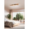 Trio BARCA Ceiling Light LED Ecru, black, 1-light source