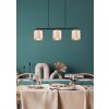 Trio JULIETA Pendant Light black, 3-light sources