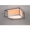Trio ROSS Ceiling Light black, 3-light sources