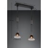 Trio STANLEY Pendant Light black, 2-light sources