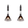 Trio STANLEY Pendant Light black, 2-light sources