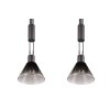 Trio STANLEY Pendant Light black, 2-light sources