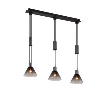 Trio STANLEY Pendant Light black, 3-light sources