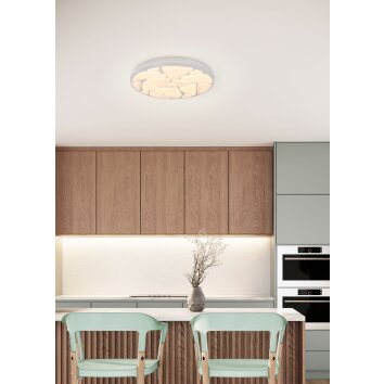 Reality ASTRO Ceiling Light LED white, 1-light source, Remote control