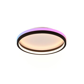 Reality HIKO Ceiling Light LED black, 2-light sources, Remote control