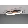 Reality MALAGA Ceiling Light LED black, white, 1-light source