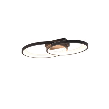 Reality MALAGA Ceiling Light LED black, white, 1-light source