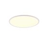 Reality SCOTT Ceiling Light LED white, 1-light source, Remote control