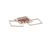 Reality TRAIL Ceiling Light LED brown, 1-light source