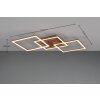 Reality TRAIL Ceiling Light LED brown, 1-light source