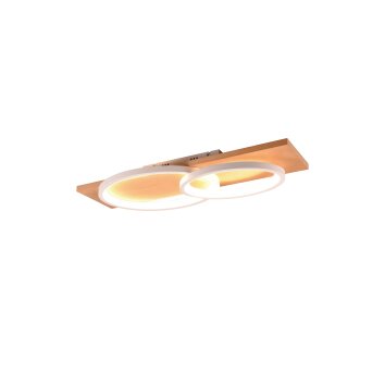 Trio BARCA Ceiling Light LED Ecru, white, 1-light source