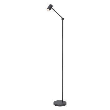 Lucide TIPIK Floor Lamp LED black, 1-light source