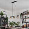 GASTOR Pendant Light clear, Smoke-coloured, 3-light sources