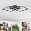 OBO Ceiling Light LED black, 1-light source