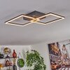 OBO Ceiling Light LED black, 1-light source
