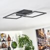 OBO Ceiling Light LED black, 1-light source