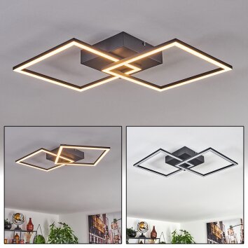 OBO Ceiling Light LED black, 1-light source