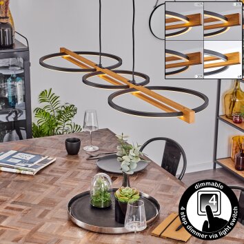 CARCANO Ceiling Light LED black, 1-light source