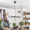 CACOR Pendant Light black, 1-light source