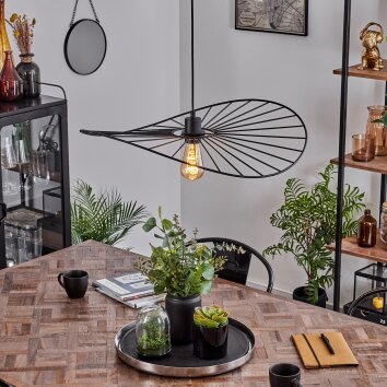 CACOR Pendant Light black, 1-light source