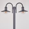 ELIMA Lamp Post anthracite, 2-light sources