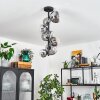 CHEHALIS Ceiling Light black, 8-light sources