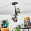 CHEHALIS Ceiling Light black, 4-light sources