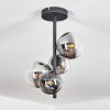 CHEHALIS Ceiling Light black, 4-light sources