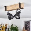 SAFARI Ceiling Light Ecru, black, 2-light sources
