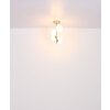 Globo RIHA Ceiling Light LED matt nickel, 4-light sources