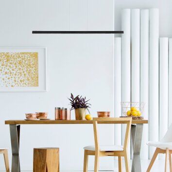 Globo DENTSY Pendant Light LED black, 1-light source