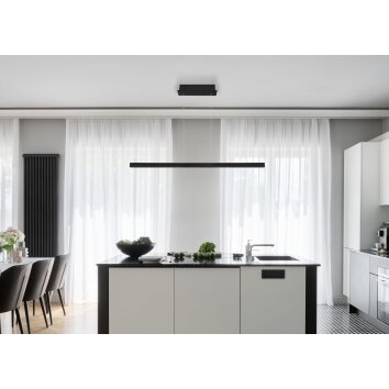 Globo DENTSY Pendant Light LED black, 1-light source