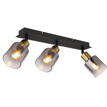 Globo HOLLSY Ceiling Light black, 3-light sources