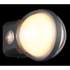 Globo ILLI Outdoor Wall Light LED anthracite, 1-light source