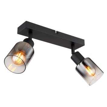 Globo HUBERTUS Ceiling Light black, 2-light sources
