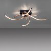 Paul Neuhaus POLINA Ceiling Light LED black, 1-light source