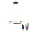 Paul Neuhaus Q-BELUGA Pendant Light LED gold, 1-light source, Remote control