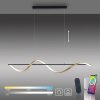 Paul Neuhaus Q-SWING Pendant Light LED anthracite, gold, 1-light source, Remote control